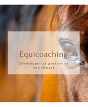 PI Management - PIman - Held Daniel Bild 9