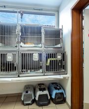 Clinique vétérinaire de Cognac - Sevetys image 13