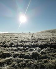 Cooperative Groupe d'Estives du Limon image 1