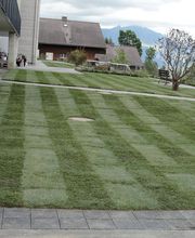 Patric Gartenbau Bild 5