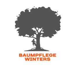 Baumpflege Winters