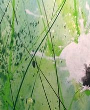 Suzanne Seippel Praxis für Körpertherapien und Bewusstseins-Erweiterung Bild 1