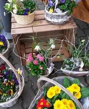 Blumencentrum und Gärtnerei Axel Gerdessen Bild 3