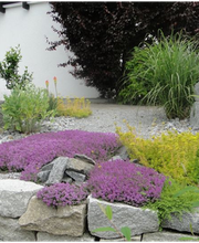 Gartenwelt Kröner Bild 7