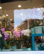 Floristería Imabel imagen 13