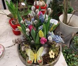 Blumen Dahlmann Bild 6