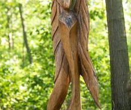 FriedWald Planitzwald Bild 7