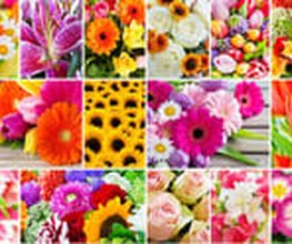 Pasinger Blumenecke