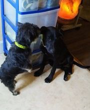 Le Monde de Sultan image 6