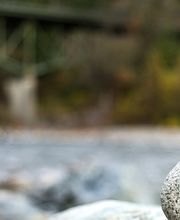 Wealth Enhancement Group image 9