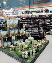 ZOOMALIA Saint-Maixent - Azay 79 | Animalerie image 3