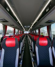 Cars Collard image 15