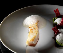Turbot mûre et betterave émulsion de raifort