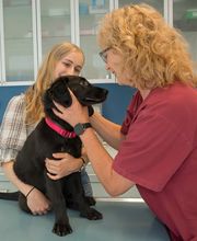 Tierarztpraxis Oppenheim Bild 1