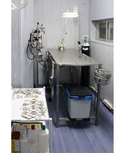 Veterinario Alcorcón imagen 4