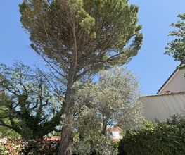 Sannier David Espaces Verts image 2