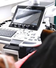 Tierarzt Falkensee, Fell & Pfote Tierarztpraxis Berlin Falkensee Bild 7