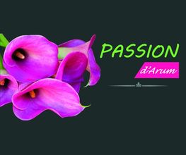 Passion d'Arum image 1