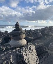 Favre Armelle image 1