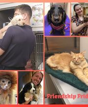 Manchester Veterinary Clinic image 2