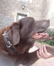 Patchou et Compagnie image 8