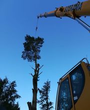 MSV - Multi-Services Verts · Agence de Lannion image 4