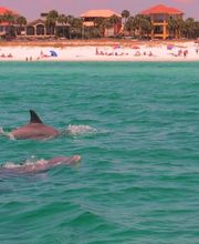 Crystal Sands - Destin Rentals image 6