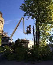 Gander Gartenbau Bild 6