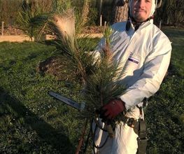 Arbor Environnement image 8
