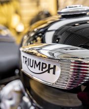 Triumph Bordeaux image 12