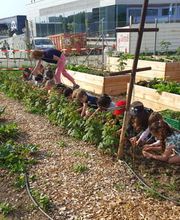 Ecole Saint-Exupéry Bild 5