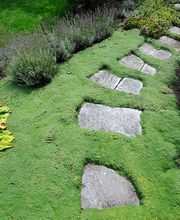 Rothenbühler Gartenbau AG Bild 12