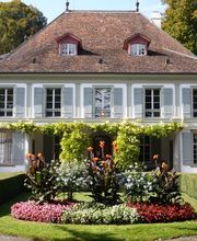 Rothacher Polybau AG Bild 6