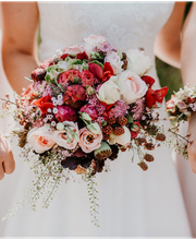 Reising Achim Bild 7