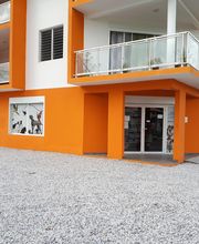 Clinique vétérinaire Velcin Tristan image 2