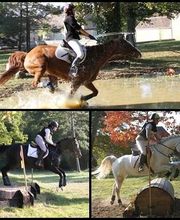 Club Hippique La Cavale image 11