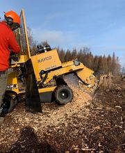 Baum-plus GmbH Bild 1