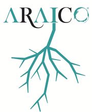 Bodegas araico imagen 3