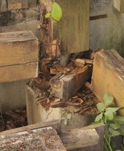 Die verrotteten Balkonbauteile ...