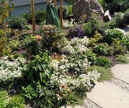 Fellmann Gartenbau AG Bild 6
