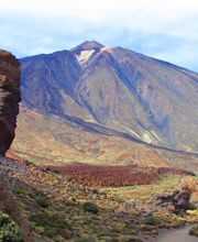 Eco- Finca Vistabonita imagen 10