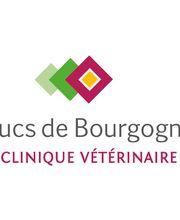 Clinique vétérinaire des Ducs de Bourgogne image 5