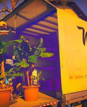 Metropol Kurier GmbH Bild 8