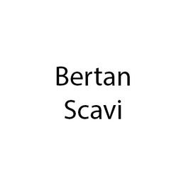 Bertan Scavi logo