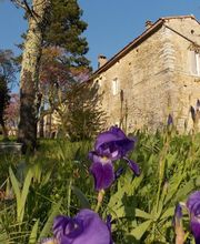 La Chadenède image 1