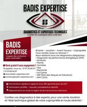 BADIS EXPERTISE image 2