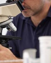 Prof. Dr. Weyrich | FA Rampp - Ärzte für Nephrologie, Innere Medizin, München Bild 19