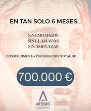 Artemis Consultores imagen 7