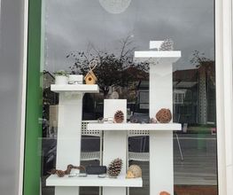 Optique Saint Cybard image 2