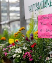 Jardins Issler image 18